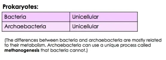 Prokaryotes are unicellular organisms like bacteria and archaebacteria. The differences between bacteria and archaebacteria are mostly related to their metabolism. Archaebacteria can use a unique process called methanogenisis that bacteria cannot.