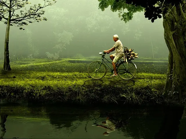 Man riding bike through a forest, parallel to a creek
