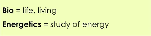 Bio = life, living
Energetics = study of energy