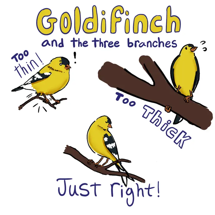 This is a cartoon showing a comparison of ecological niche to Goldilocks and the Three Bears. The text reads "Goldifinch and the Three Branches". There are three different goldfinch birds perched on branches of different sizes. One bird is on a branch that is too thin and looks like it may snap. One bird is on a branch that is too thick and is struggling to stay on the branch. One bird is on a branch that is just right.