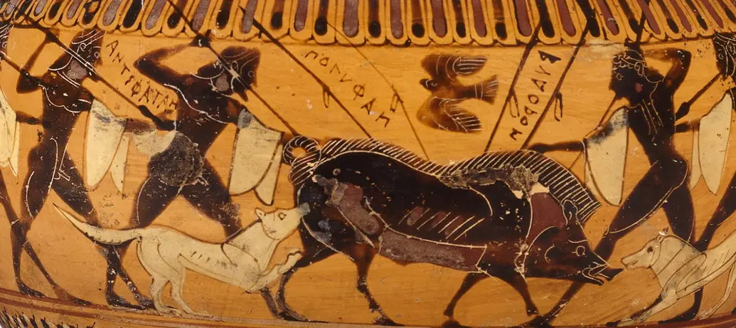 This is an image of an ancient Greek vase. A drawing on it depicts humans hunting boar with dogs.