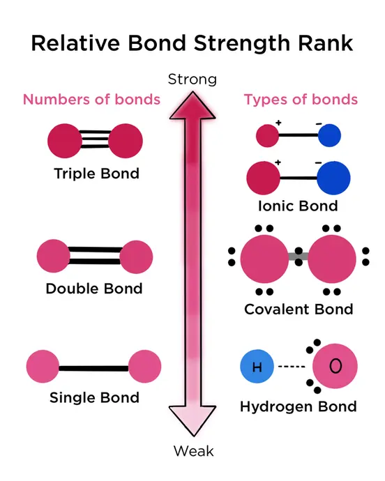 Ionic bonds are the strongest type of bond. The strength of an ionic bond depends on the ion size. Smaller ion size leads to stronger bond strength. A covalent bond is weaker than ionic bonds. Only covalent bonds can have different numbers of bonds. A triple bond is stronger than a double bond which is stronger than a single covalent bond. A hydrogen bond is the weakest type of bond.