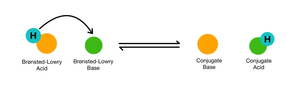 Image showing how the bronsted-lowry acid donates its hydrogen to the bronsted-lowry base (which accepts the protron)
