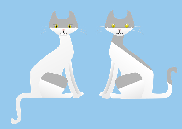 Two identical cats.