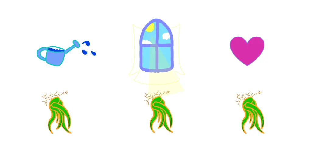 The image shows a watering can, a window, and a cartoon heart. Each one has an air plant beneath it.