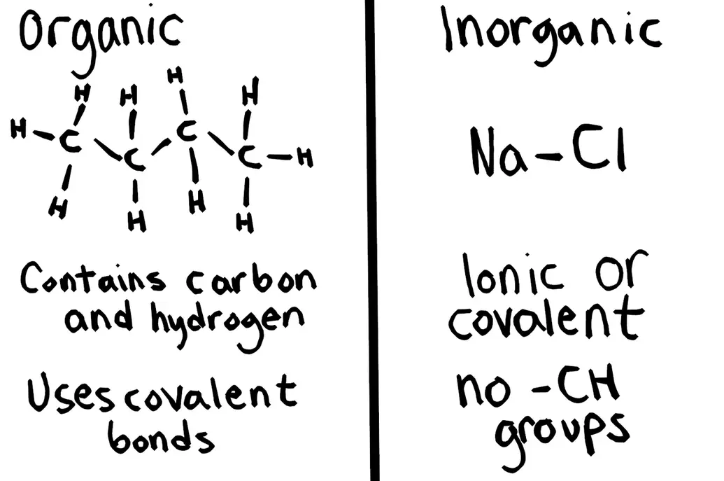 The image shows organic and inorganic molecules. The organic side has a four-carbon molecule. Organic molecules contain carbon and hydrogen. They also use covalent bonds. On the inorganic side, there is NaCl, or salt. Inorganic molecules can have ionic or covalent bonds. They do not contain -CH groups.
