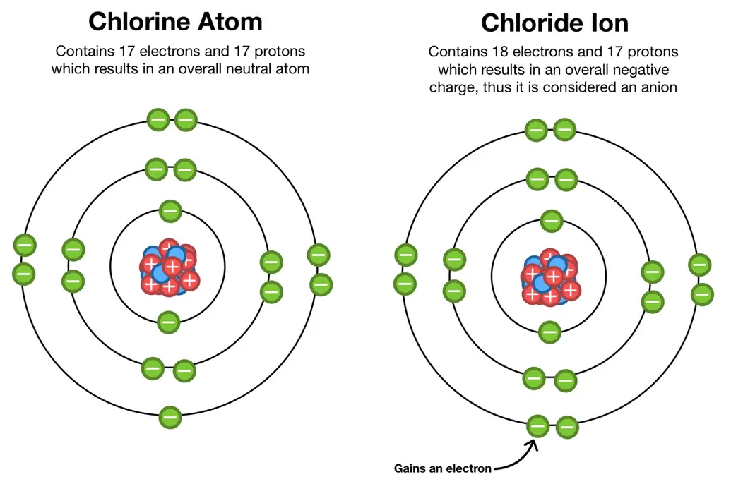 Image showing how when chlorine gained an electron, it caused the atom to have an unequal number of protons and electrons, thus causing it to become an anion