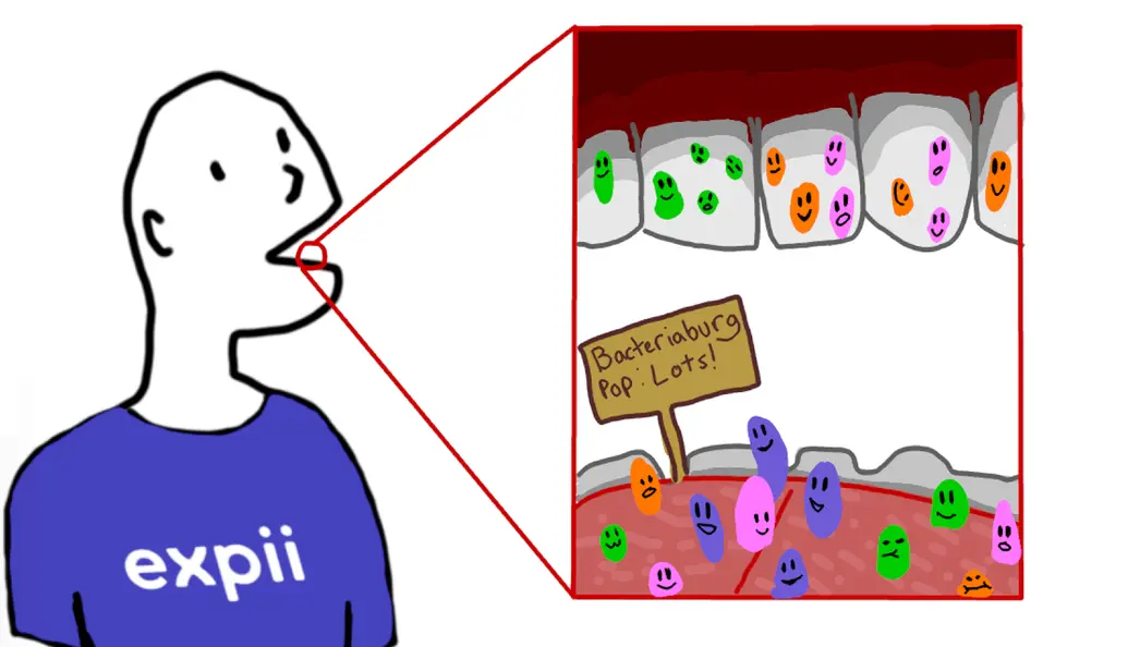 The image shows a person wearing an expii shirt. There is a zoom-in on their mouth, which shows many bacteria living on their teeth. A sign says Bacteriaburg, Population: Lots!