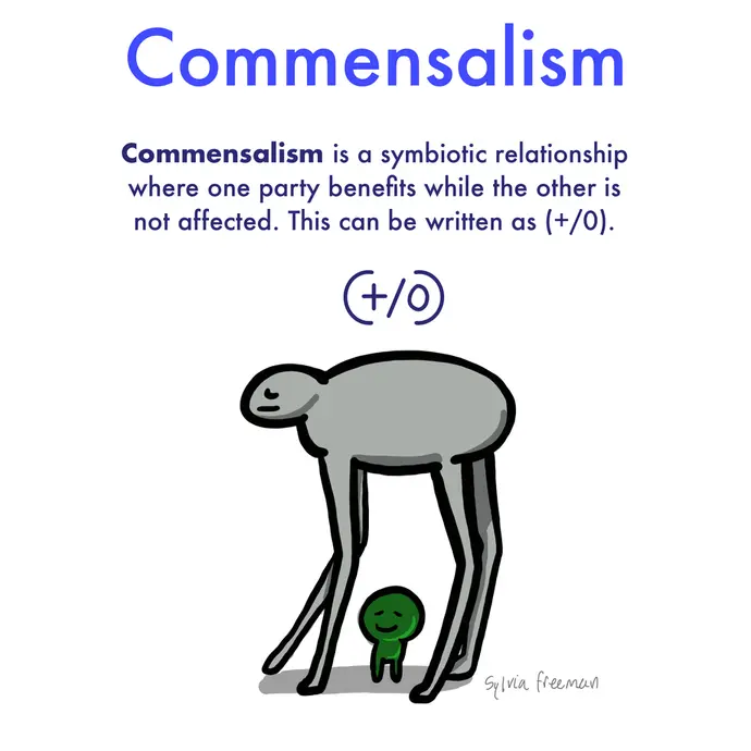 This is a cartoon illustration explaining what commensalism is. The image shows a tall, gray creature standing over a smaller green fellow. The tall, gray creature provides the little, green creature with shade, while it is not benefiting or being harmed by the interaction. The image text reads: Commensalism is a symbiotic relationship where one party benefits while the other is not affected. This can be written as (+/0).