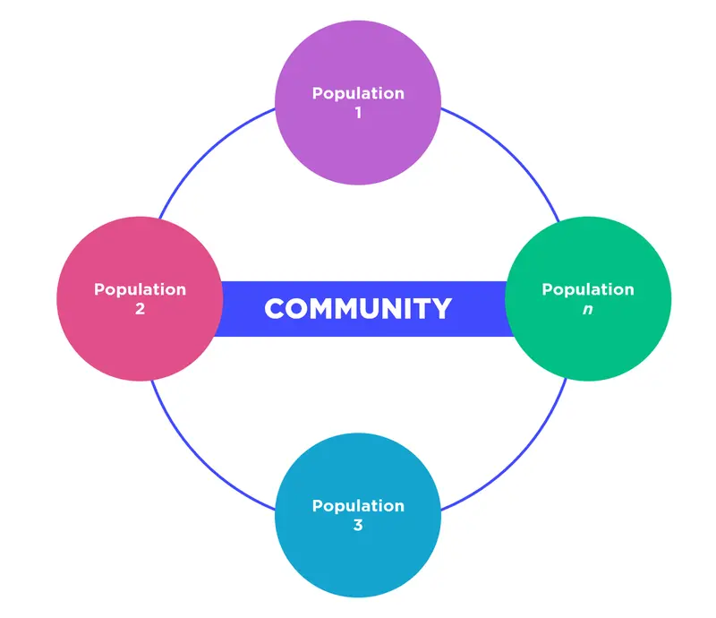 Populations 1, 2, 3, and n exist in a community.