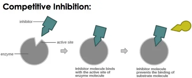 Inhibitors fit into the active site so well that the substrate can't bind.