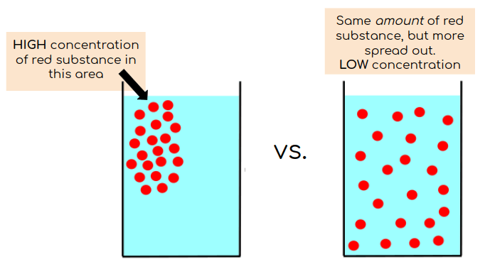 Red dots in a blue liquid diffuse from high concentration to low concentration.