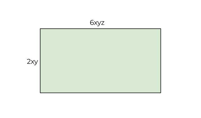 Rectangle with length 6xyz and width 2xy