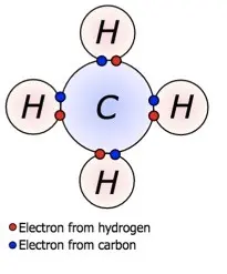 A carbon atom forming multiple bonds