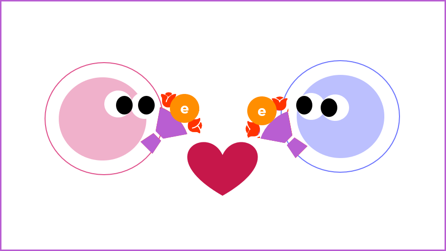 This image shows a pink atom and a blue atom. Both are holding a bouquet of flowers. In each bouquet is an orange electron. The electrons are close to each other and there is a heart symbol between the two atoms.