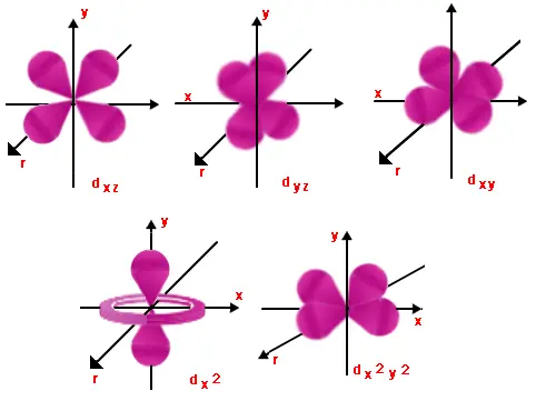 Five d orbitals: four four-lobed cloverleaf shapes between the axes, and one with two lobes along the vertical axis and a ring around its middle.