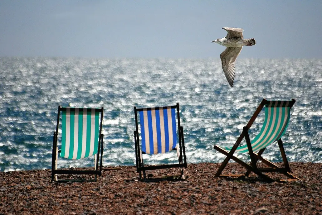 A lone seagull flying over a few empty chairs at the beach