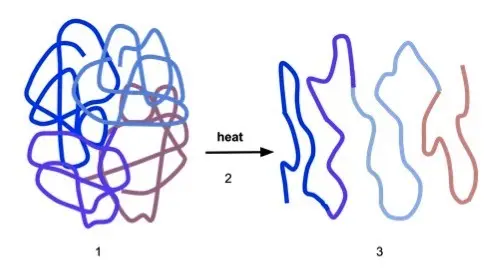 Denatured enzymes lose their shape.