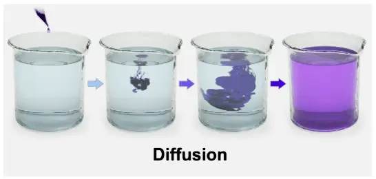 Purple food dye diffuses in a glass of water from an area of high concentration to areas of low concentration.