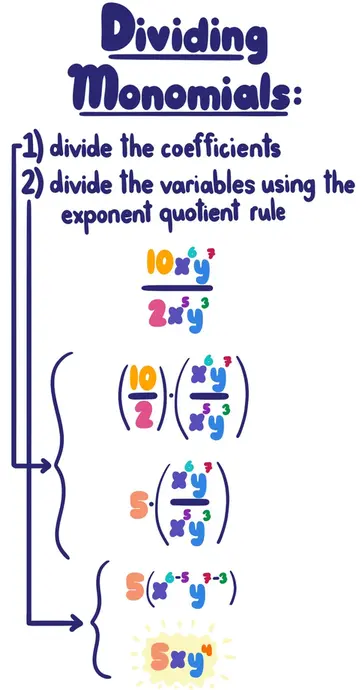 Dividing Monomials: Step One: divide the coefficients. Step Two: divide the variables using the exponent quotient rule. For example: (10x^6y^7)/(2x^5y^3) = (10/2)*(x^6y^7)/( x^5y^3) = 5(x^6y^7)/(x^5y^3) = 5x^{6-5}y^{7-3} = 5xy^4