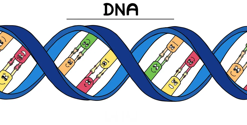 DNA helix with orange, green, red, and yellow nitrogenous bases smiling and joining hands
