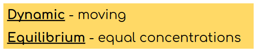 Dynamic = moving
Equilibrium = equal concentrations