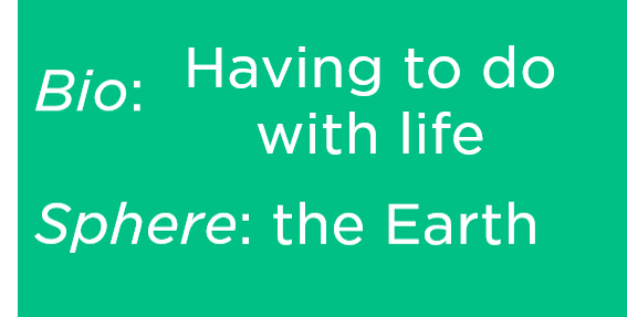 Breakdown of the word "biosphere": "Bio" has to do with life, and "sphere" has to do with Earth.