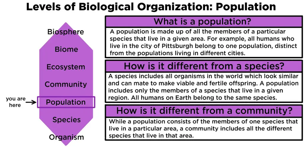 Levels of biological organization: population. A population is made up of all the members of a particular species that live in a given area. For example, all humans who live in the city of Pittsburgh belong to one population, distinct from the populations living in different cities. A species includes all organisms in the world which look similar and can mate to make viable and fertile offspring. A population includes only the members of a species that live in a given region. All humans on Earth belong to the same species. While a population consists of the members of one species that live in a particular area, a community includes all the different species that live in that area.