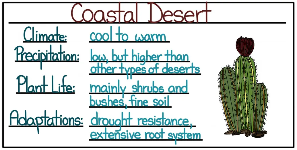 A cheat sheet of facts about the coastal desert. The climate ranges from cool to warm. The precipitation is low but higher than in the other types of deserts. The plant life includes mainly shrubs and bushes and fine soil. Useful adaptations include drought resistance and extensive root systems in plants.