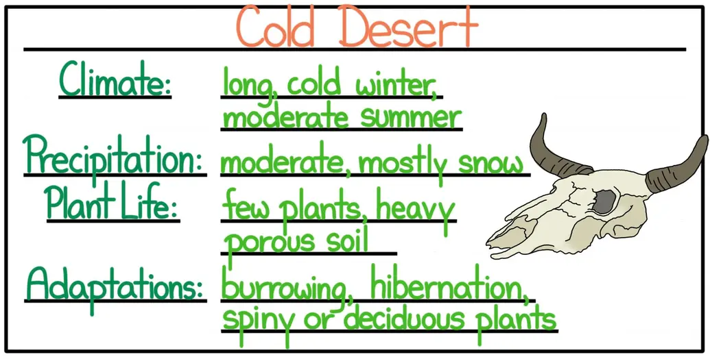 A cheat sheet of facts about the cold desert. The climate consists of long, cold winters and moderate summers. The precipitation is moderate and mostly snow. Plant life is scarce, and soil is heavy and porous. Useful adaptations include burrowing, hibernation, and spiny or deciduous plants.
