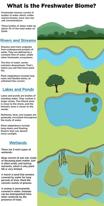 Infographic 'What is the Freshwater Biome?' with an illustrated landscape of a river, a pond with lily pads, and wetland areas, beside notes on rivers, lakes and wetland types.