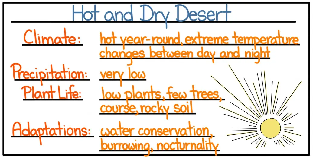 A cheat sheet of facts about the hot and dry desert biome. The climate is hot year-round with extreme temperature changes between day and night. Precipitation is very low. The plant life includes mostly low plants with very few trees. The soil is course and rocky. Useful adaptations aim for water conservation and include other things like burrowing and nocturnality.