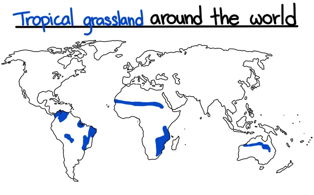 A map showing the locations of the tropical grassland around the world.