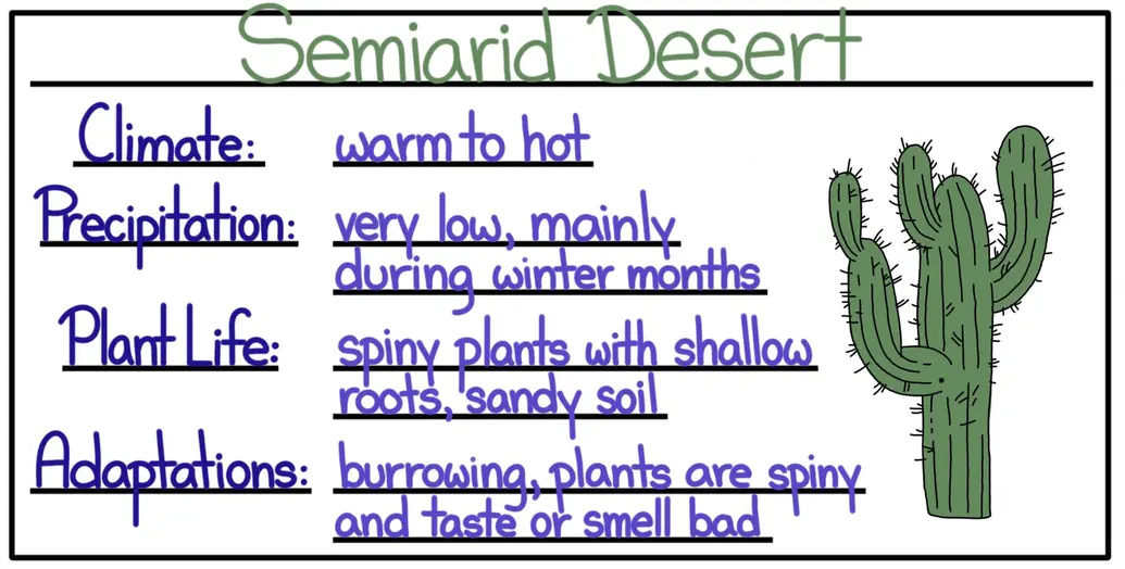 A cheat sheet of facts about the semiarid desert. The climate ranges from warm to hot. Precipitation is low with most precipitation during the winter months. Plant life includes spiny plants with shallow roots and sandy soil. Useful adaptations include burrowing and plants that are spiny with a bad taste or odor.