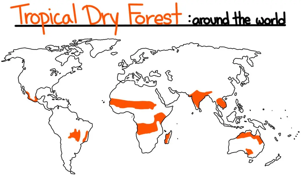 A map showing the locations of the tropical dry forest biome on a map.