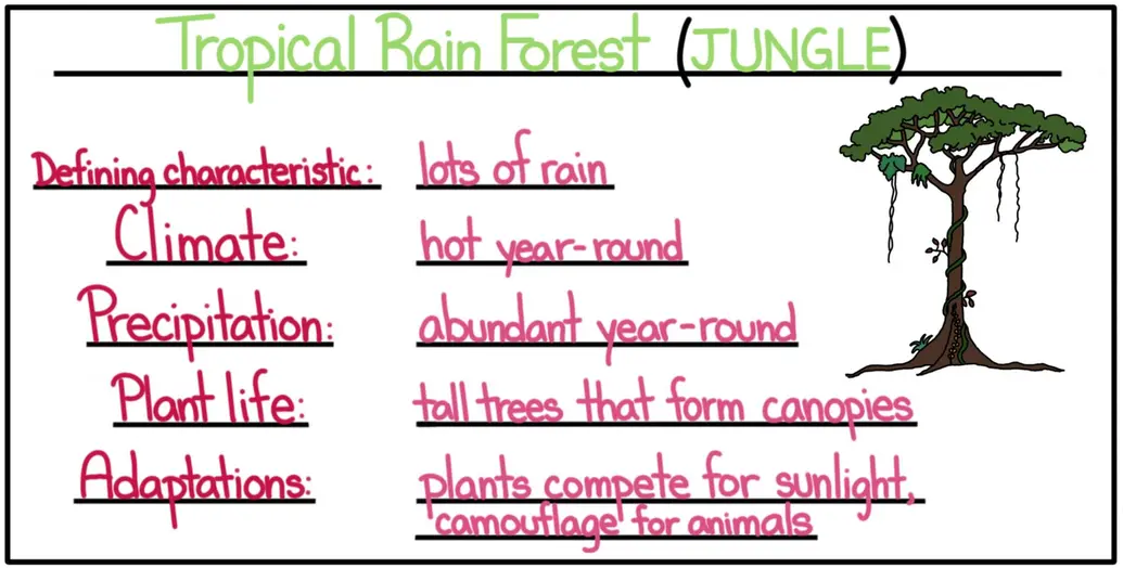 A cheat sheet of facts about the tropical rain forest. The defining characteristic is heavy precipitation. The climate is hot year-round. The precipitation is abundant year-round. Plant life consists of tall trees that form canopies. Adaptations include competition for sunlight in plants and camouflage in animals.