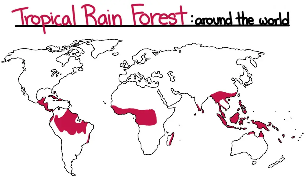 A map showing the locations of the tropical rain forest biome.