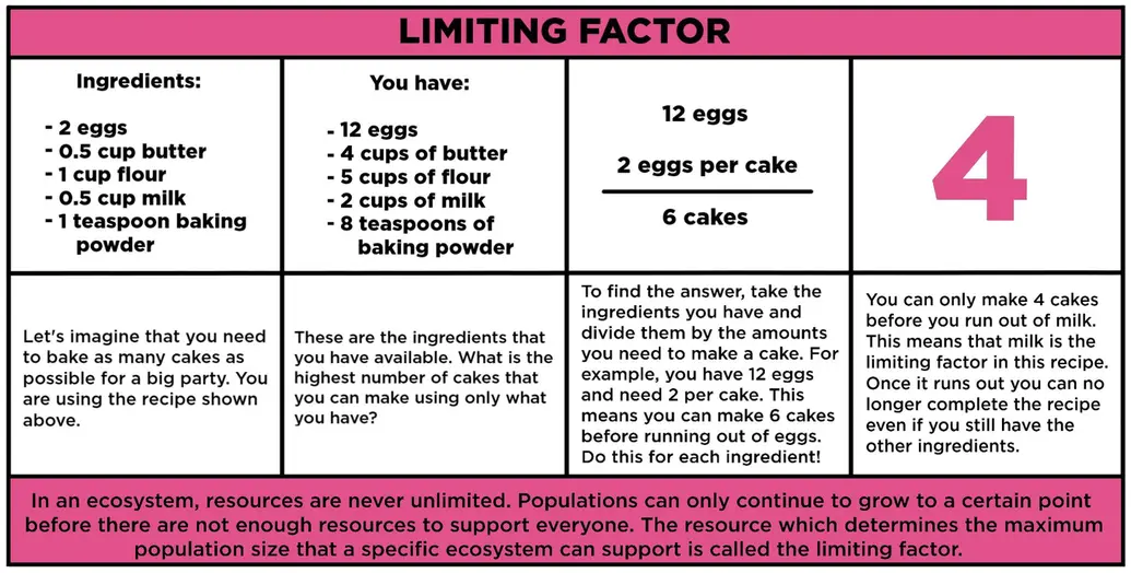 Limiting factor. Let's imagine you need to bake as many cakes as possible for a big party. You are using the recipe shown above. Ingredients are 2 eggs, 0.5 cup butter, 1 cup flour, 0.5 cup milk, and 1 teaspoon baking soda. These are the ingredients you have available: 12 eggs, 4 cups of butter, 5 cups of flour, 2 cups of milk, and 8 teaspoons of baking powder. What is the highest number of cakes that you can make using only what you have? To find the answer, take the ingredients you have and divide them by the amounts you need to make a cake. For example, you have 2 eggs and need 2 per cake. This means you can make 6 cakes before running out of eggs. Do this for each ingredient. You can only make 4 cakes before you run out of milk. This means that milk is the limiting factor for this recipe. Once it runs out, you can no longer complete the recipe even if you still have the other ingredients. In an ecosystem, resources are never unlimited. Populations can only continue to grow to a certain point before there are not enough resources to support everyone. The resource which determines the maximum population size that a specific ecosystem can support is called the limiting factor.