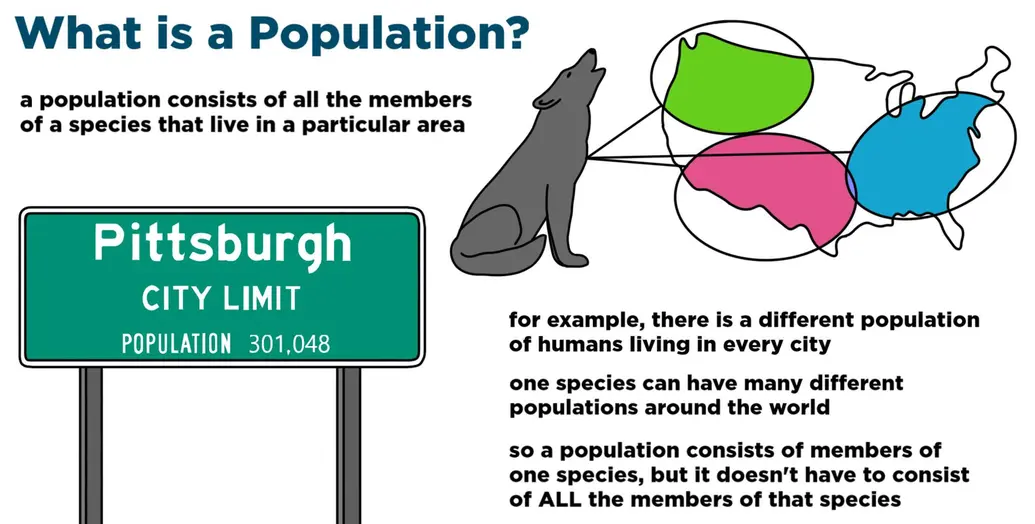 What is a population? A population consists of all the members of a species that live in a particular area. For example, there is a different population of humans living in every city. One species can have many different populations around the world. So a population consists of members of one species, but it doesn't have to consist of all the members of that species.