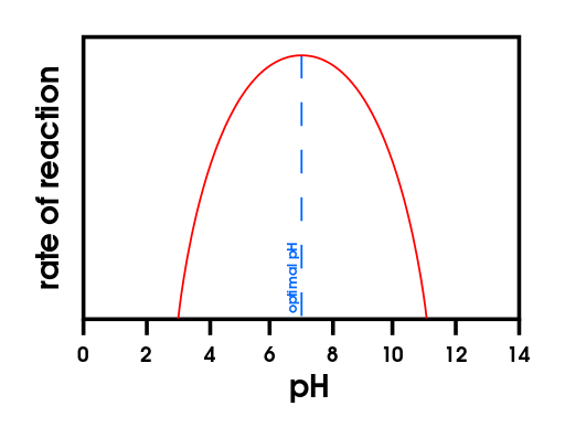 Different enzymes work at different pH levels. The pH at which the rate of reaction is the highest is called the optimum pH.