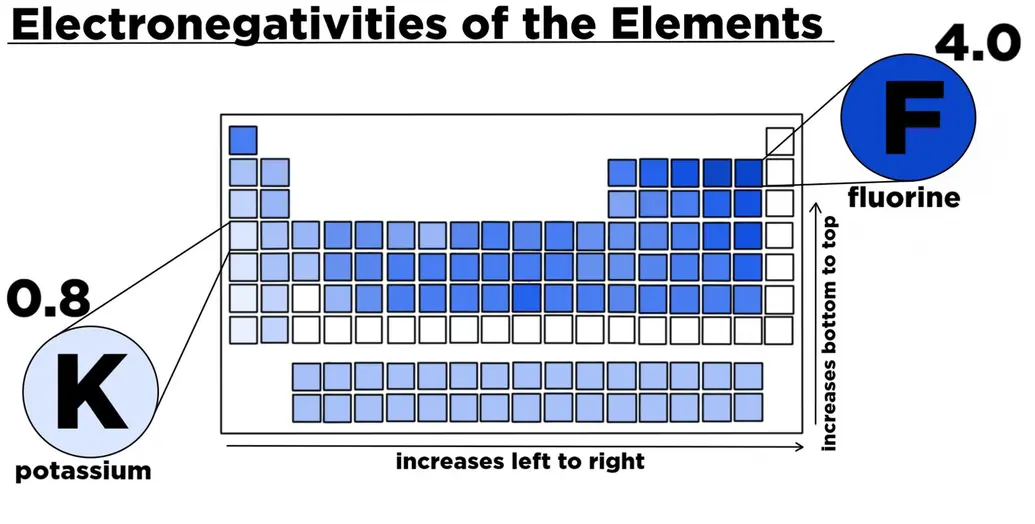A periodic table showing the electronegativities of the elements. The electronegativity of fluorine is 4.0, and that of potassium is 0.8.