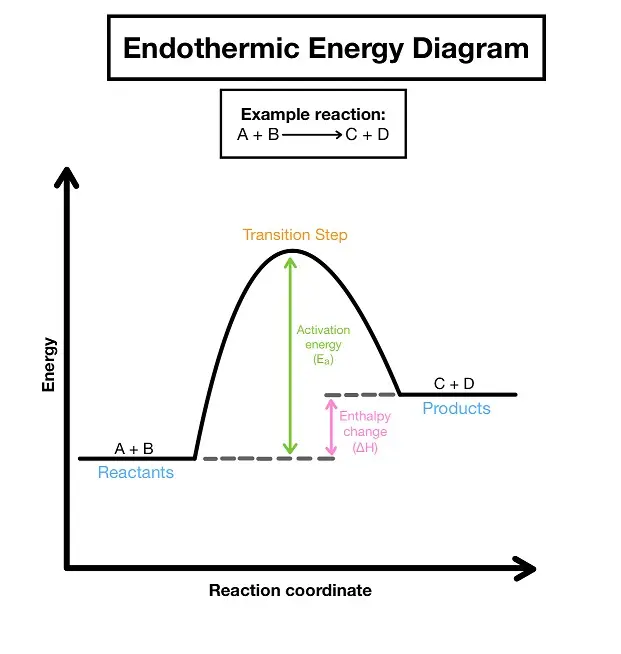 Endothermic Energy Diagram (showing the reactants being lower than the products, a longer activation energy, and enthalpy change between the reactants and the product lines.