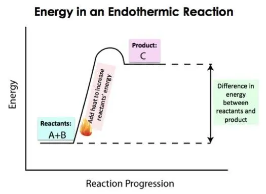 The products in endothermic reactions have more energy than the reactants.