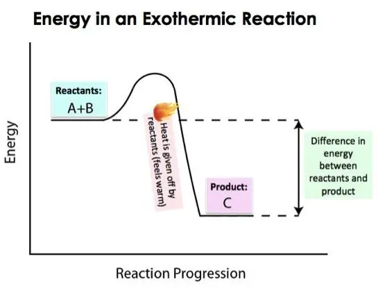 The products in exothermic reactions have less energy than the reactants.