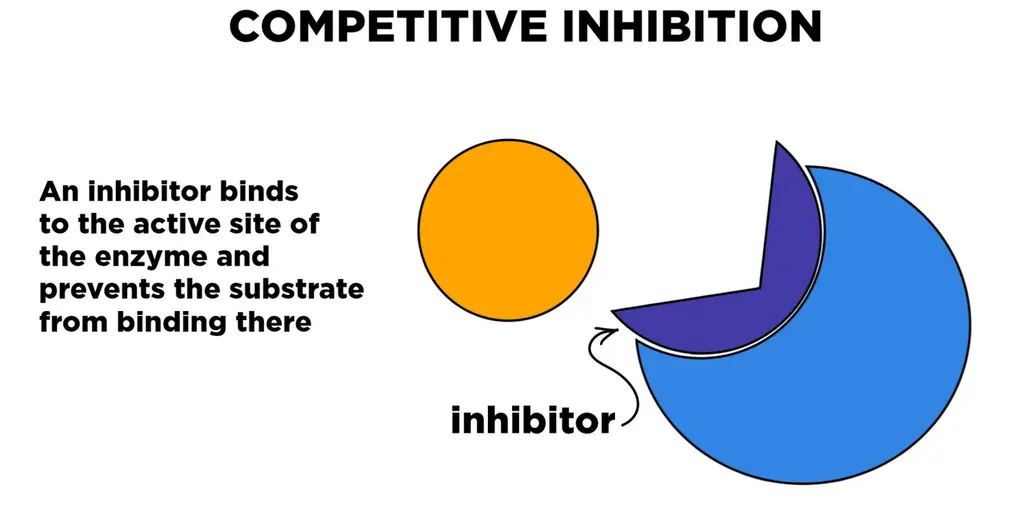 Competitive inhibition. An inhibitor binds to the active site of the enzyme and prevents the substrate from binding there.