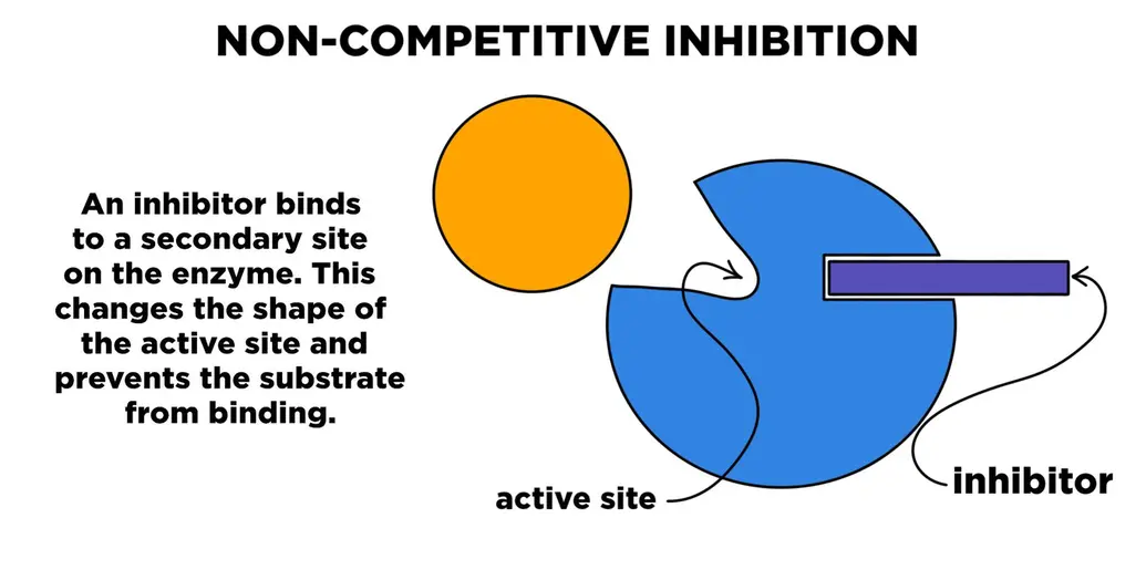 Non-competitive inhibition. An inhibitor binds to a secondary site on the enzyme. This changes the shape of the active site and prevents the substrate from binding.