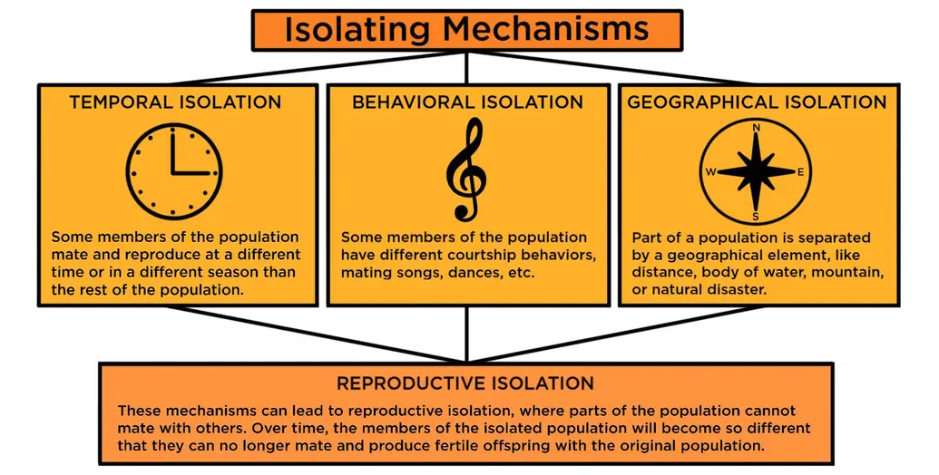 Isolating mechanisms. Temporal isolation is when some members of the population mate and reproduce at a different time or in a different season than the rest of the population. Behavioral isolation is when some members of the population have different courtship behaviors, mating songs, or dances used to attract females. Geographical isolation is when a part of a population is separated by a geographical element, like distance, body of water, mountain, or natural disaster. These mechanisms can lead to reproductive isolation, where parts of the population cannot mate with others. Over time, the members of the isolated population will become so different that they can no longer mate and produce fertile offspring with the original population.
