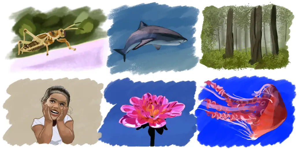 Examples of multicellular organisms include grasshoppers, sharks, trees, humans, flowers, and jellyfish.