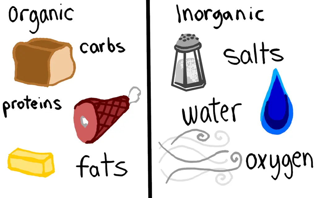 The image has two categories: organic and inorganic. In organic, there are carbohydrates (bread), proteins (ham), and fats (butter). In inorganic, there are salts (salt shaker), water (a raindrop), and oxygen (wind).