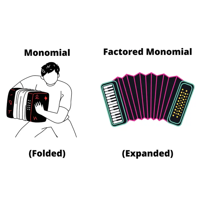 Monomials are like folded accordions, and factored monomials are like expanded accordions. 
